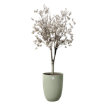 sereh haut 40cm vert scandinave